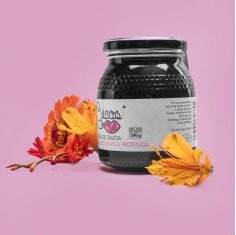 Miel de Bosque 500g IXP Mel... 2